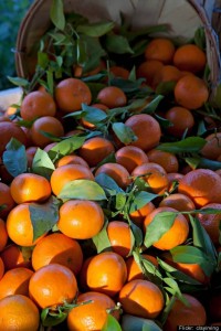 orange ビタミン豊富なオレンジ