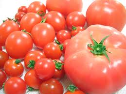 トマトトマト