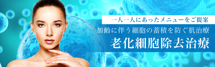 老化細胞除去治療